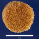 Illustration for article titled This Sponge Could Help Fill Gaps Where Bone Cant Regrow Itself